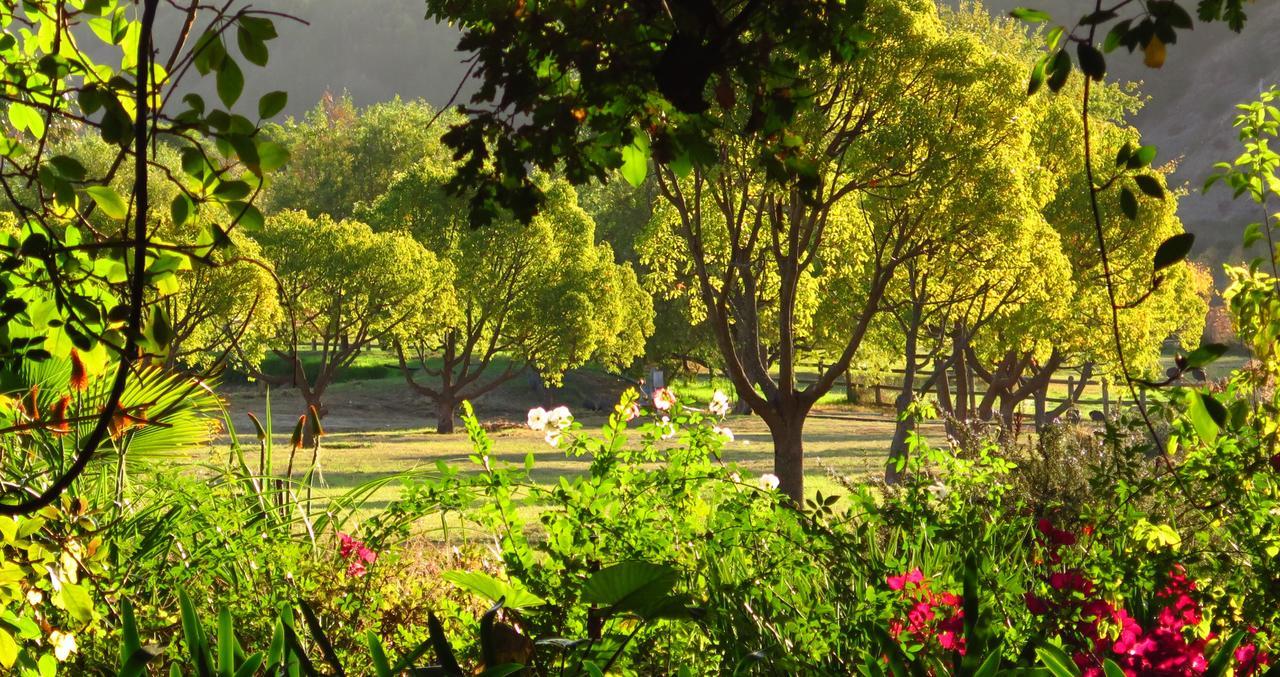 Muratie Wine Estate 스텔렌보스 외부 사진